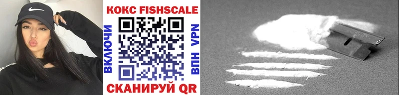 Купить где  Южно-Сухокумск  COCAIN 98% 